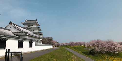 関宿城と周辺の花