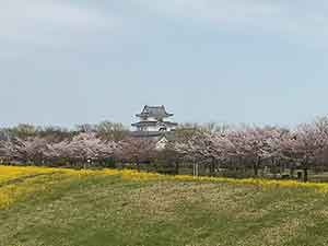 利根川沿いから見た関宿城