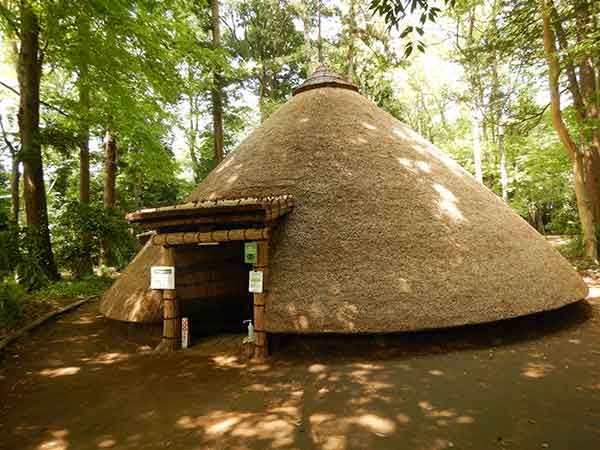 縄文の森の復元竪穴住居