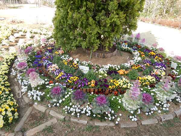円の花壇に植えられたたくさんの花