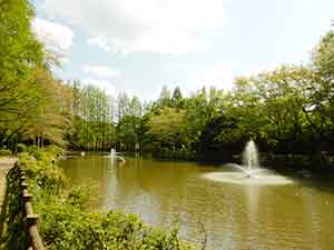 貝柄山公園の池にある噴水