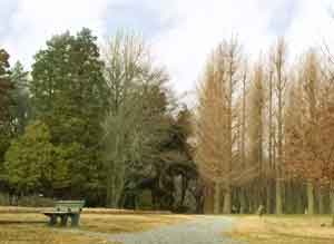 緑地 公園 村上