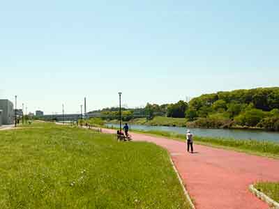 川沿いに広がる開放的な遊歩道