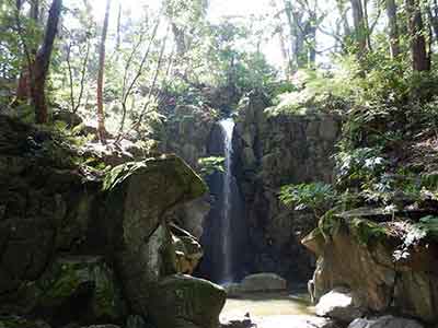 成田山公園の雄飛の滝と樹木