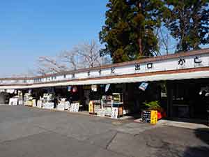 奥山広場の売店