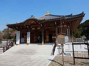 病気の神様成田山醫王殿