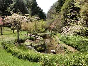 夏でも涼しい渓流