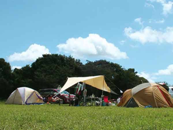 キャンプ場に並んだテント
