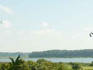 印旛沼展望台からの対岸の風景