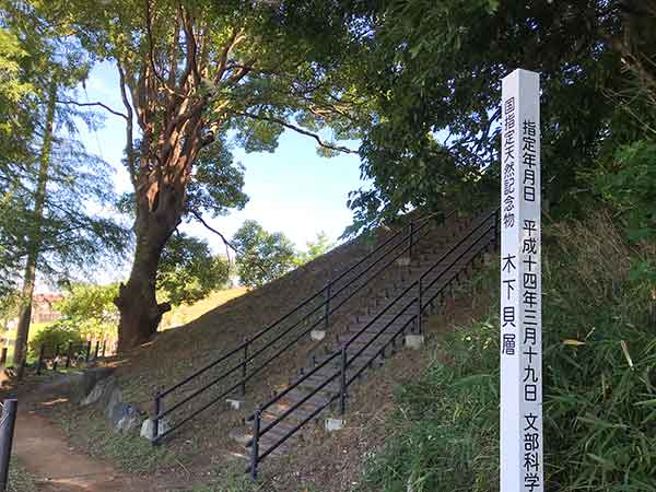平成14年に国の指定記念物になった記念の木標