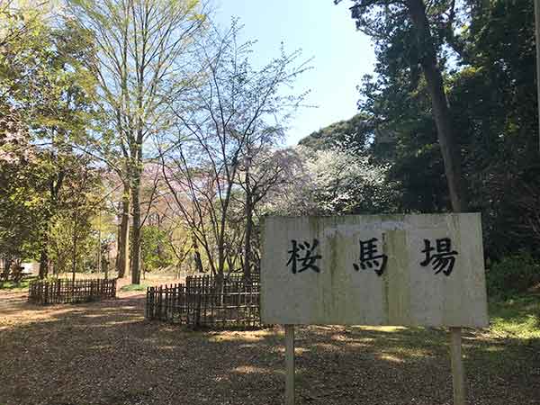 桜馬場の看板とその風景