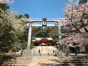 香取神宮の鳥居と桜