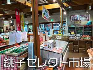 まちの駅銚子セレクト市場店内