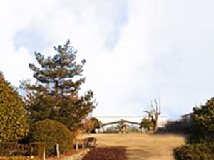 木が生い茂る公園の入り口付近