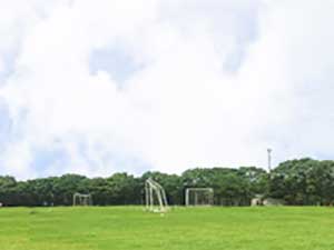 広々とした球技場
