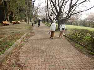 犬と仲良く散歩する女性たち