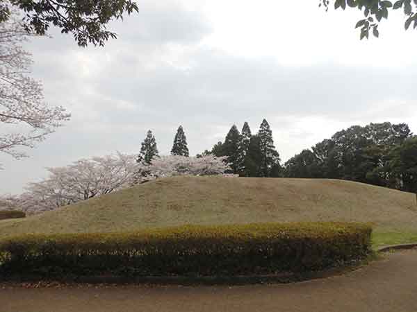 小盛田古墳と桜