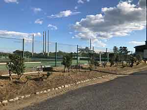 蓮沼海浜公園のテニスコート