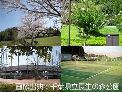 長生の森の桜とサルスベリとテニスコートと球技場