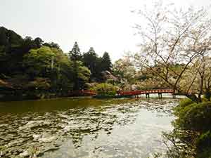 弁天湖に浮かぶ橋