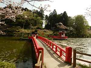 茂原公園の弁天橋と桜の和の景色