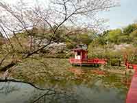 桜と弁財天