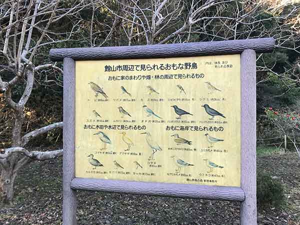 周辺で見られる主な野鳥の看板