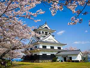 桜と館山城