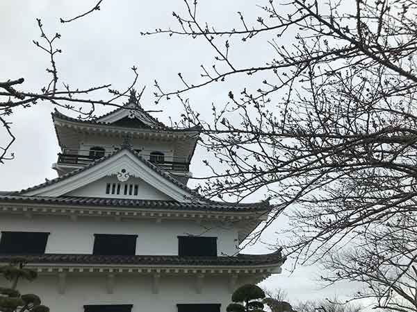 館山城とつぼみ状態の桜