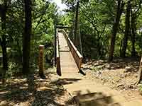 公園にかかる吊橋