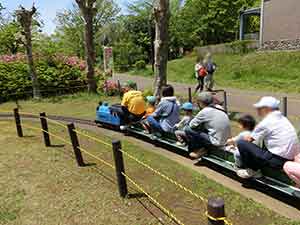 手賀沼公園のミニSLに乗って楽しむ観光客