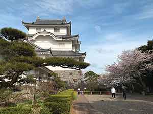 大多喜城と桜の景色