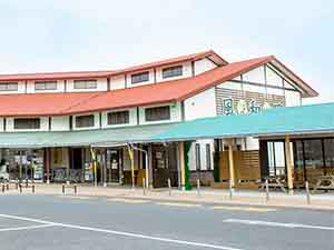 道の駅ふわり芝山駐車場と建物外観