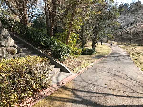 歩道途中に現れる神社入口階段