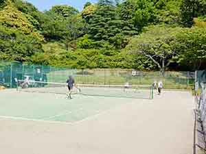 県民の森でテニスをするグループ