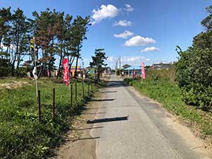 気持ちよくお散歩できる海岸はずれの歩道